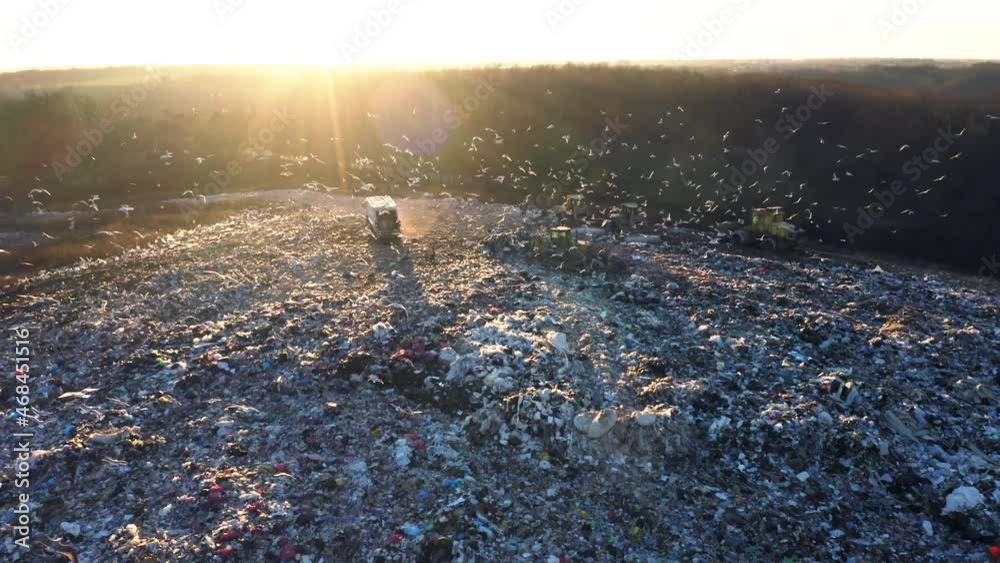Aerial view of a city dump. A flock of birds is circling over the garbage dump. Garbage trucks unload garbage.