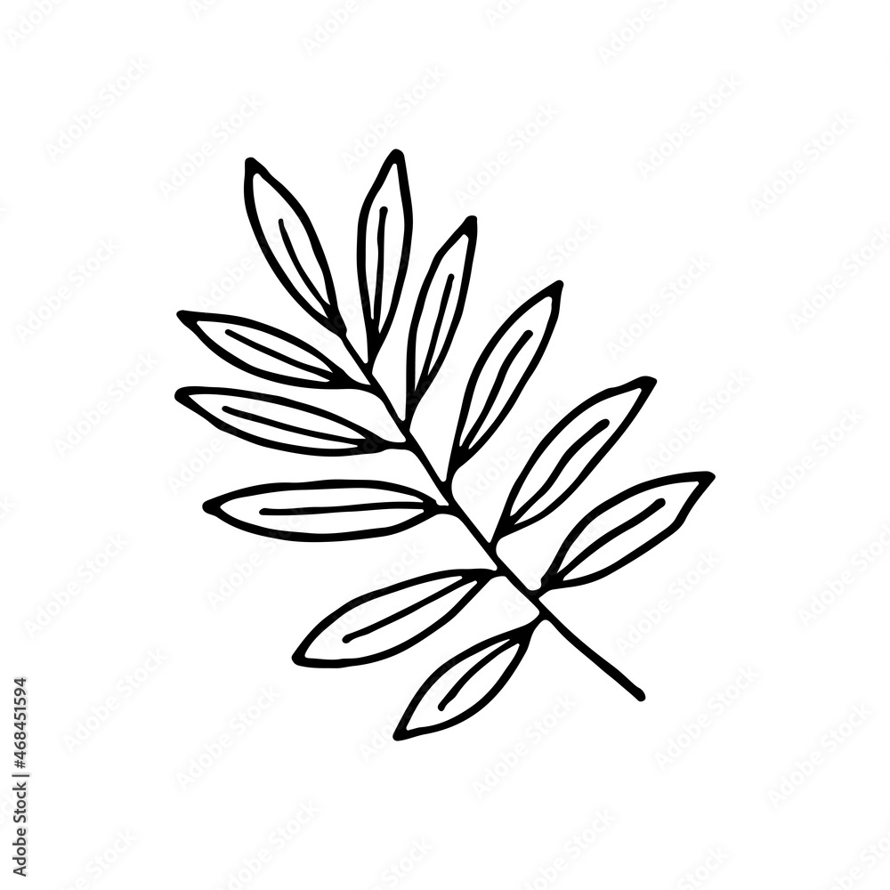 Sketch tropical red ginger leaf in line art style. Doodle outline jungle plant. Hand drawn exotic leaves vector illustration isolated on white background Sketch tropical red ginger leaf in line art style. Doodle outline jungle plant. Hand drawn exotic leaves vector illustration isolated on white background