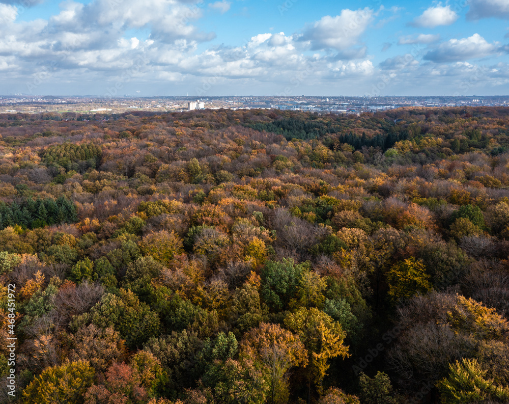 A walk through the Duisburg city forest in autumn