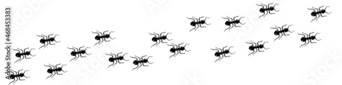 Ant trail A line of worker ants marching in search of food Vector illustration horizontal banner Ant road column Teamwork Hard work metaphor Black insect silhouettes traveling Isolated © JulsIst