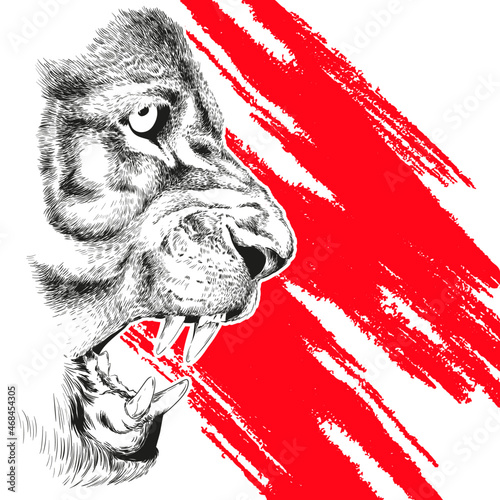 beast predator grin animal fangs danger