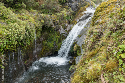 Fototapeta Naklejka Na Ścianę i Meble -  Overview Waterfall in Lush Temperate Rainforest on the rainy west coast of New Zealand