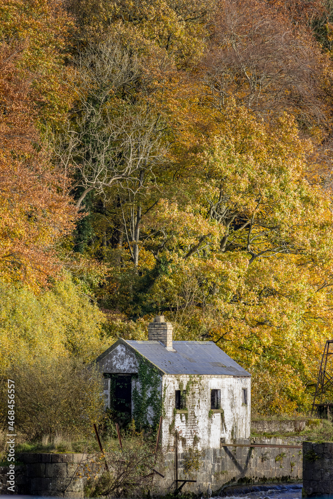 Autumn at The River Bann at the Salmon Leap, Coleraine, County