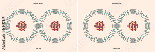 Conceptual vector representation of a strontium molecule, made up of two atoms, and the types of chemical bonds: covalent, atoms sharing electrons, and ionic, an atom gives an electron to another atom