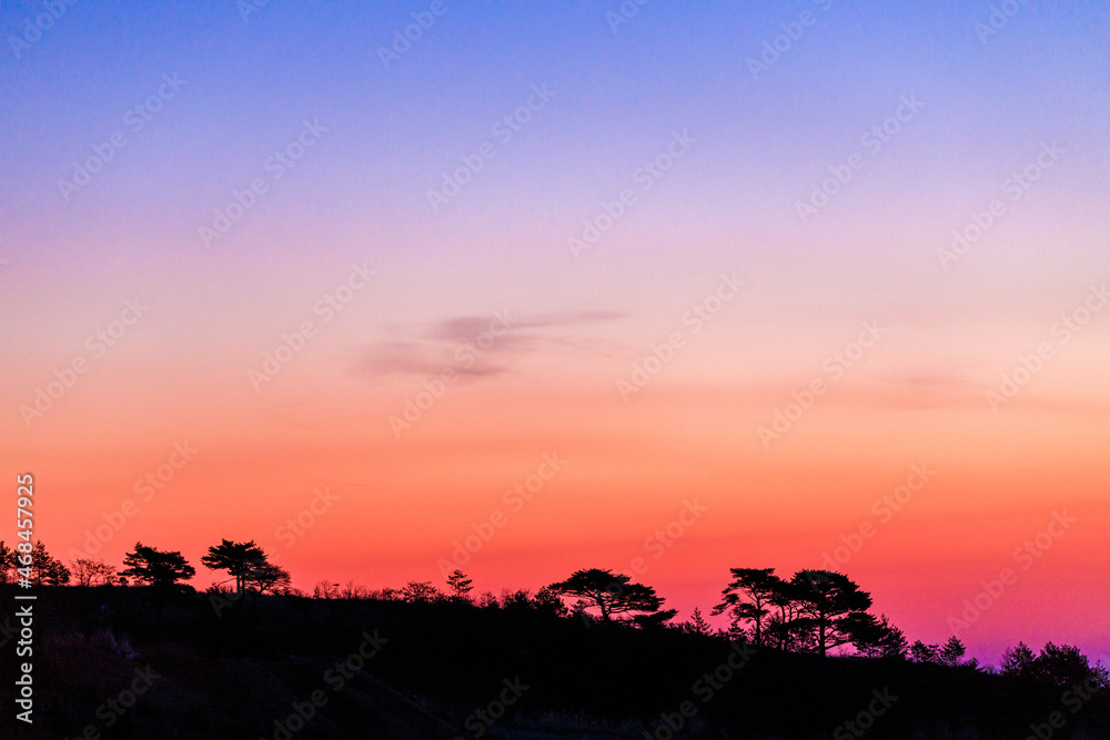 Far Eastern Marine Reserve. A short shrub grows on a hill against the backdrop of the rising sun. Dawn in the marine reserve. Far Eastern Marine Reserve. A short shrub grows on a hill against the backdrop of the rising sun. Dawn in the marine reserve.
