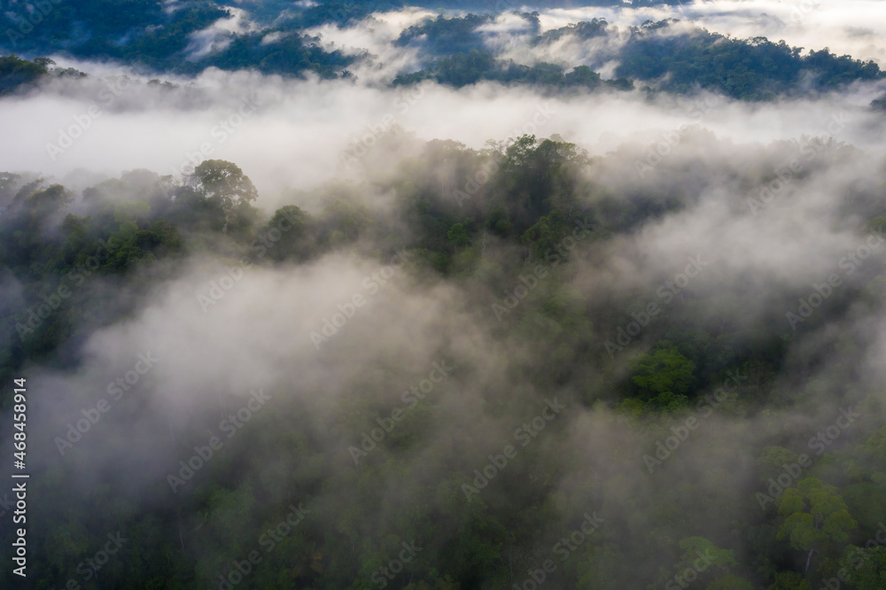 Aerial view of the Amazon forest covered in fog: a tropical forest canopy barely visible in the early morning fog Aerial view of the Amazon forest covered in fog: a tropical forest canopy barely visible in the early morning fog