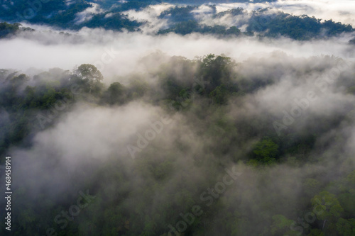 Aerial view of the Amazon forest covered in fog: a tropical forest canopy barely visible in the early morning fog