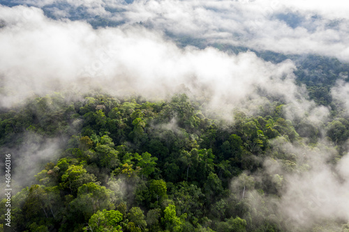 layers-of-fog-are-covering-a-cloudforest-in-ecuador-the-many-species-of-trees-visible-in-the-tree-canopy-below-the-fog
