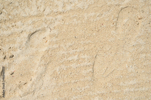 white sand texture on exotic beach in dominican republic