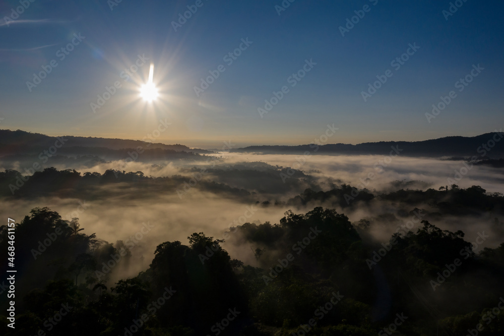Sunrise above the Amazon forest: the sun is rising over the tree canopy covered in fog with a bright blue sky Sunrise above the Amazon forest: the sun is rising over the tree canopy covered in fog with a bright blue sky