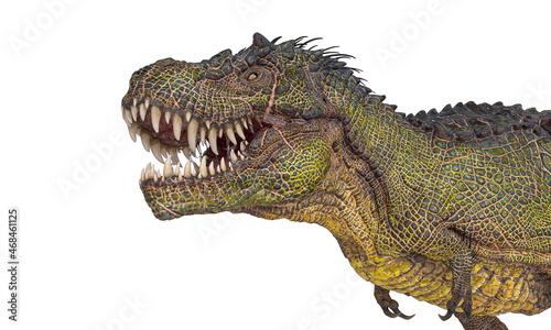 Fototapeta Naklejka Na Ścianę i Meble -  dinosaur monster side close up view