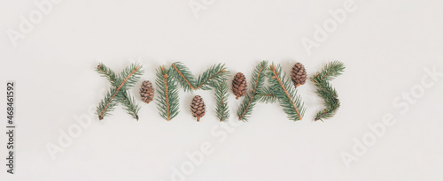 Minimal composition of fir and pine twigs. Bright pastel background. Merry Christmas.