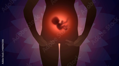 Photo Embryo in the womb, silhouette of a pregnant woman on the background of a fracta