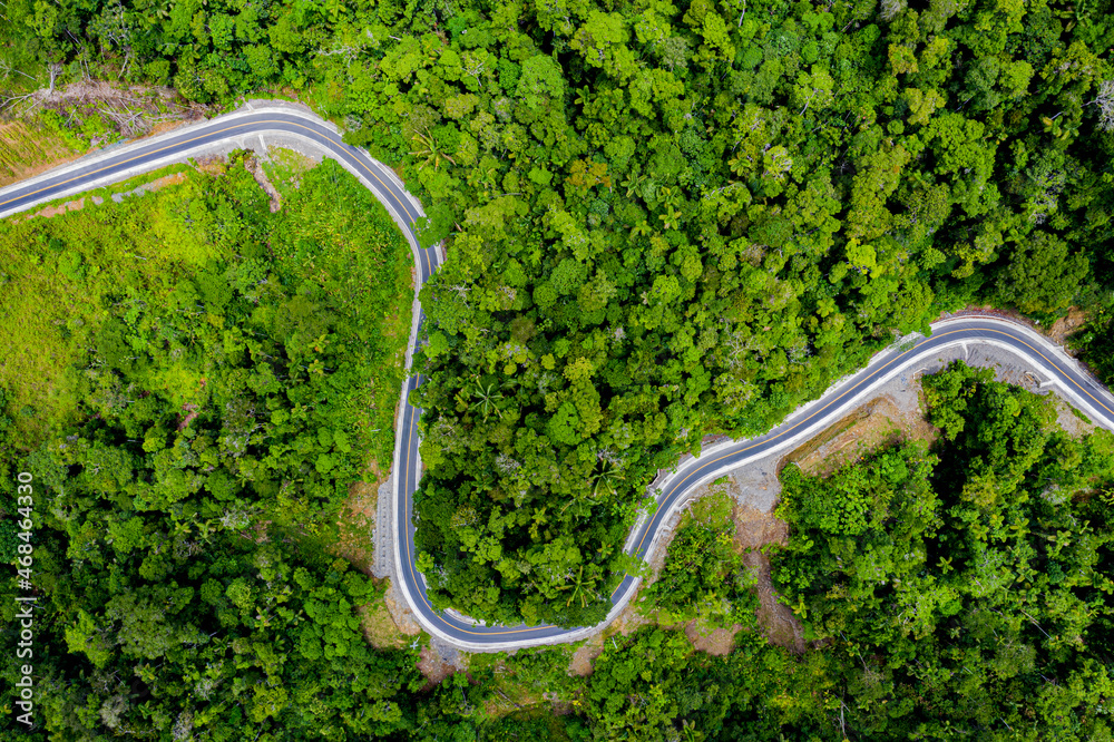 Aerial view of  hardened road curving through a tropical forest: a heavy contrast of the dark road and the green forest canopy seen from above