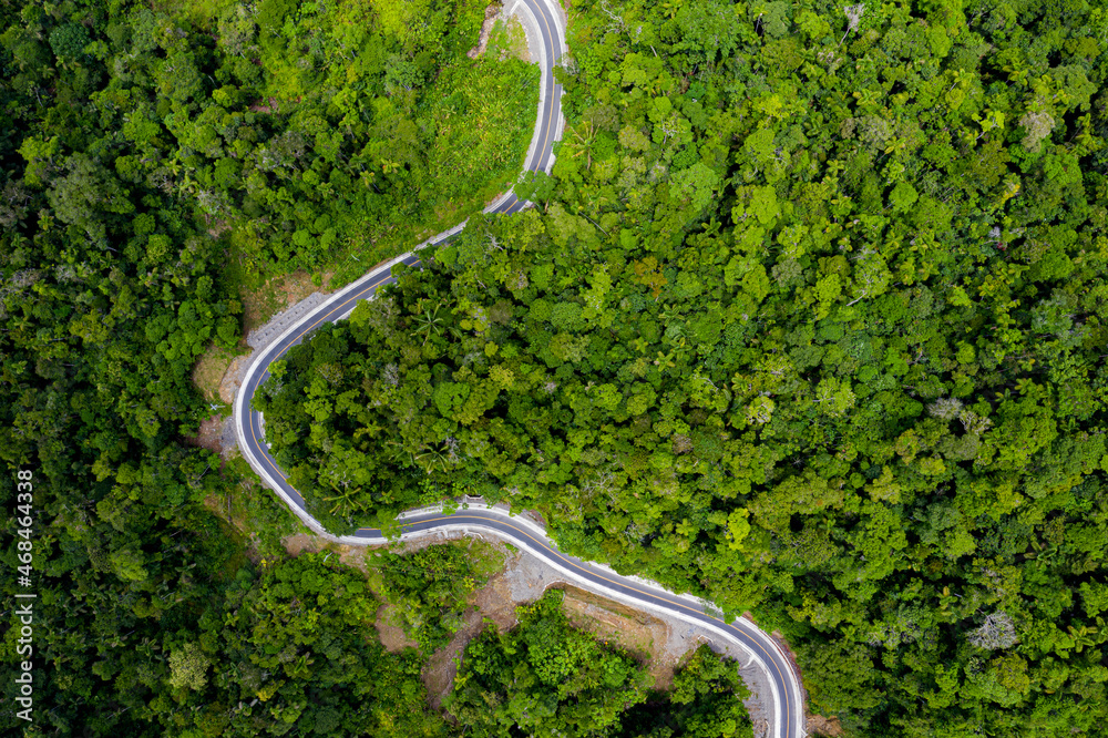 Aerial top view of a hardened road curving through the forest canopy seen from above