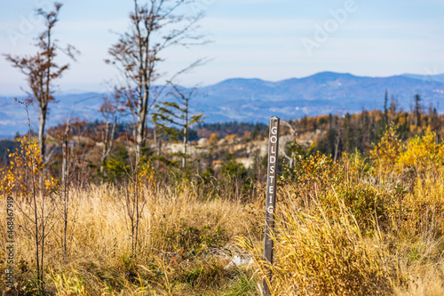 31.10.2021, GER, Bayern, Oberfrauenwald: Beschilderung des Goldsteig Wanderweges am Oberfrauenwald.