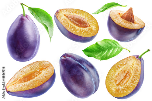 Canvastavla Collection of six ripe purple plums isolated on white background