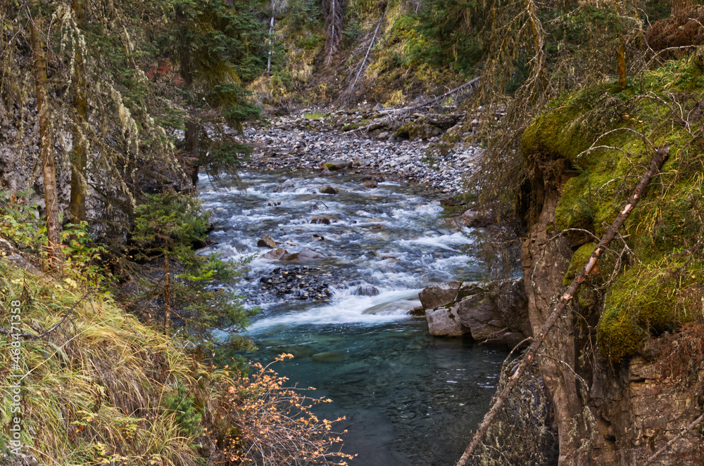 Obraz premium Water rushing through Johnston Canyon