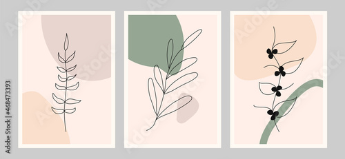 Botanical wall art vector set. Foliage line art drawing with abstract shape. Hand draw Organic shape design for wall framed prints  canvas prints. Minimal and natural wall art. Vector illustration.