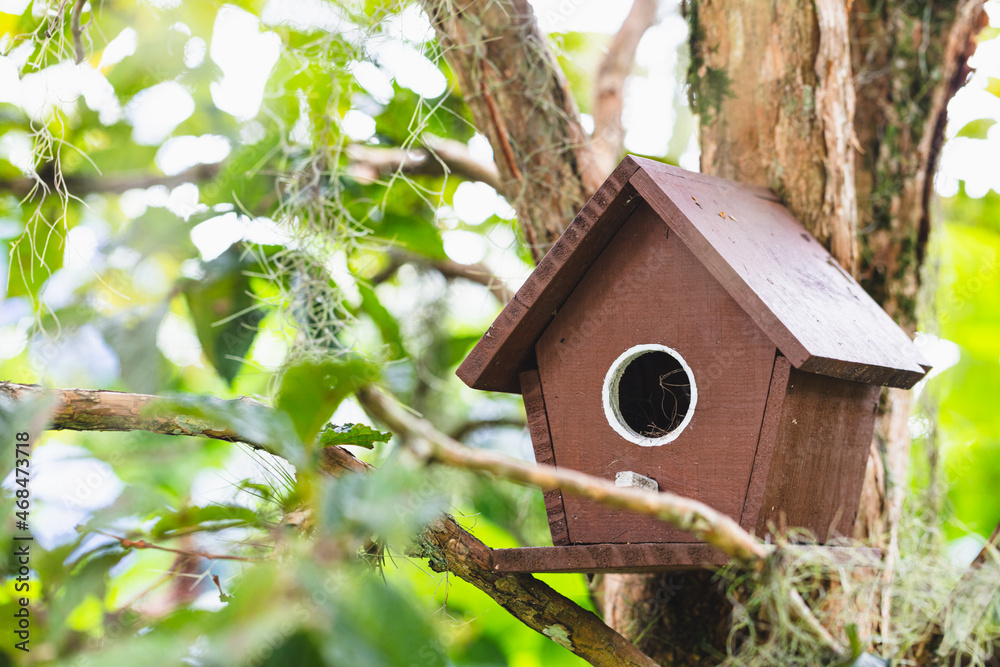 Brown birdhouse on the tree. Brown birdhouse on the tree.