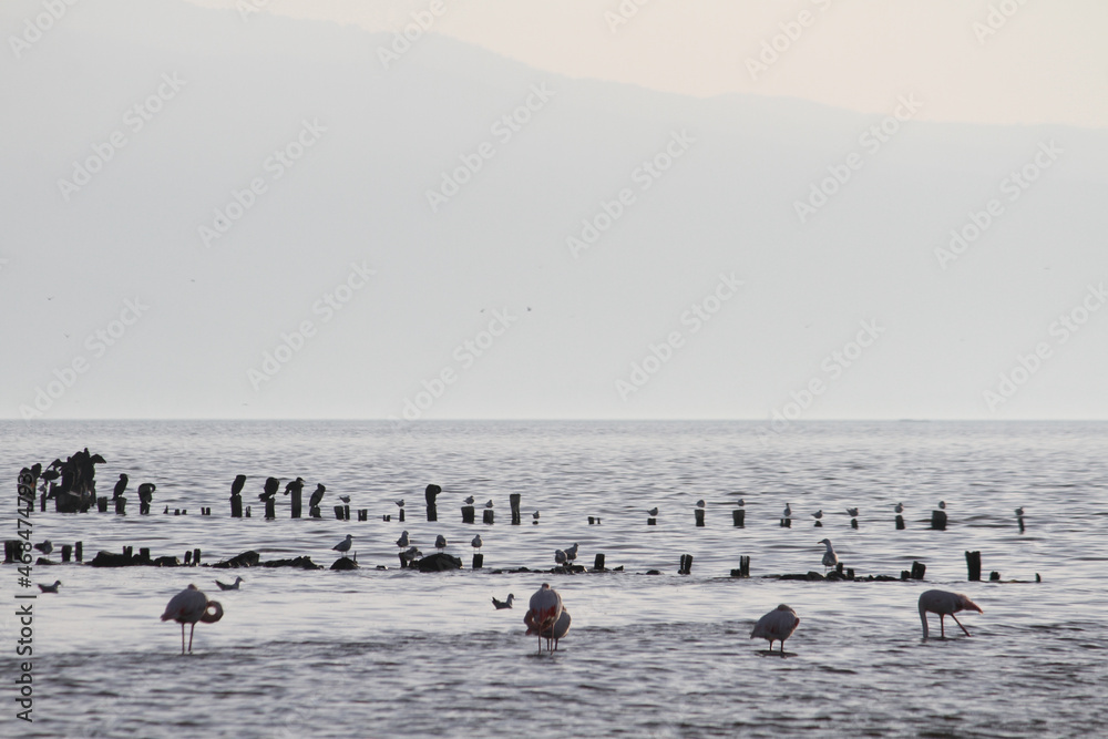 Fototapeta premium view of the sea