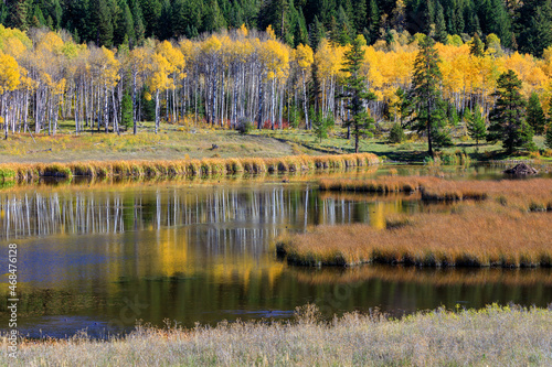 Aspen Grove Wetland Thompson-Nicola Highway 5A