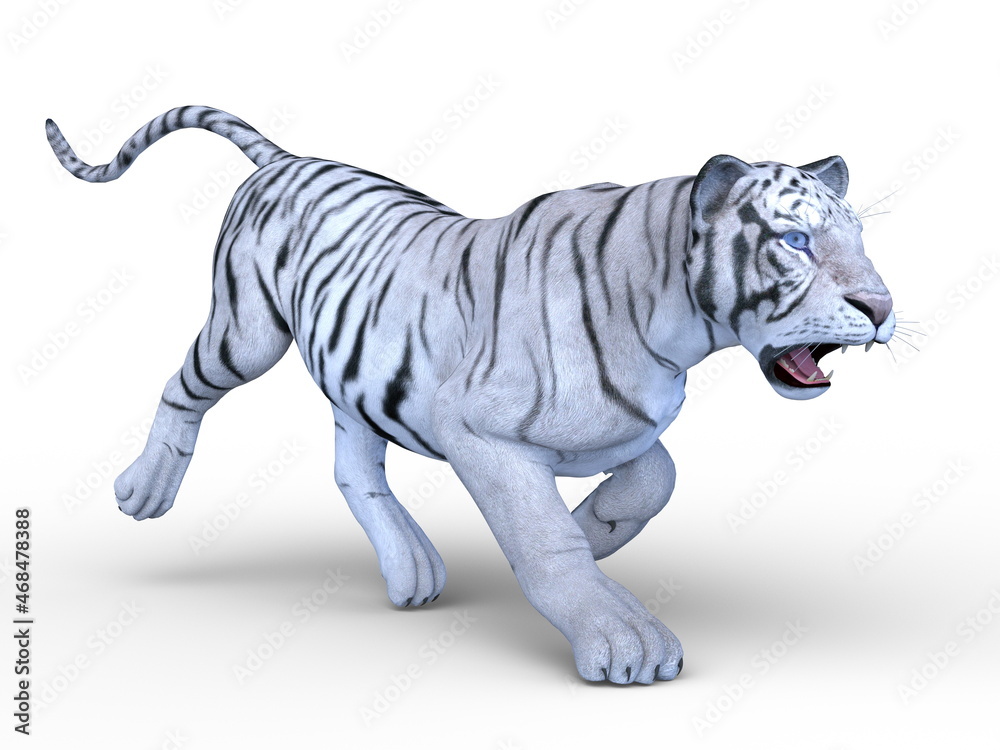 ホワイトタイガー Stock イラスト Adobe Stock