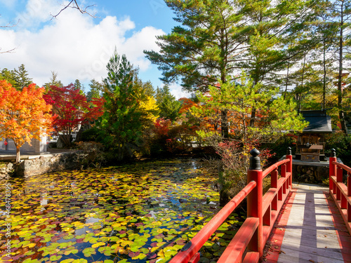 Foto 高野山辯財天の紅葉