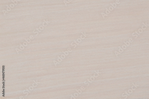 Light birch wood panel texture pattern
