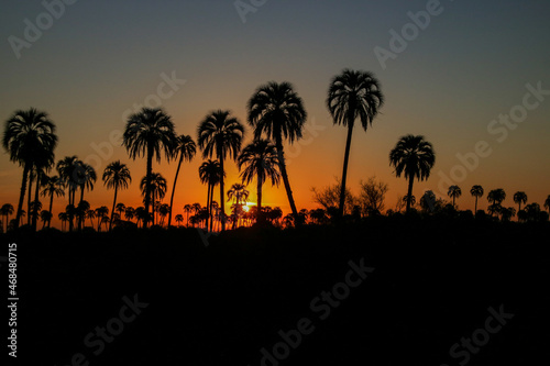 Sunset in the palmar of Colon  Entre Rios. Argentina