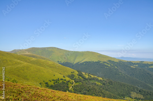 Lush green grassy meadows on the mountain slopes on background of blue sky. Beautiful landscape of Ukrainian Carpathian mountains © Dmytro