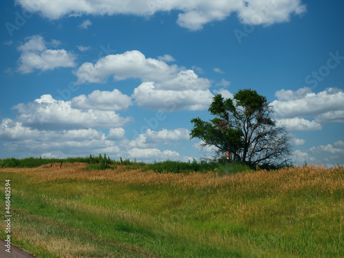 Beautiful landscape with a lone tree growing along the road in Nebraska.