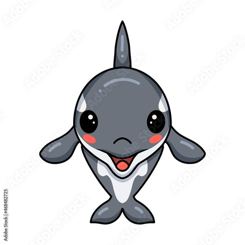 Cute little orca cartoon posing