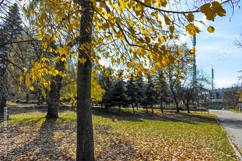 Autumn Landscape of Borisova gradina (Boris Garden) in Sofia, Bulgaria photo