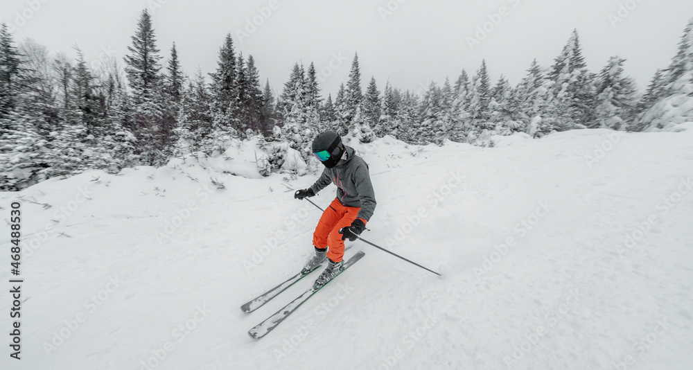 Fototapeta premium Skiing man. Alpine ski - skier going dowhill against snow covered trees background in winter nature landscape. Ski holidays vacation concept