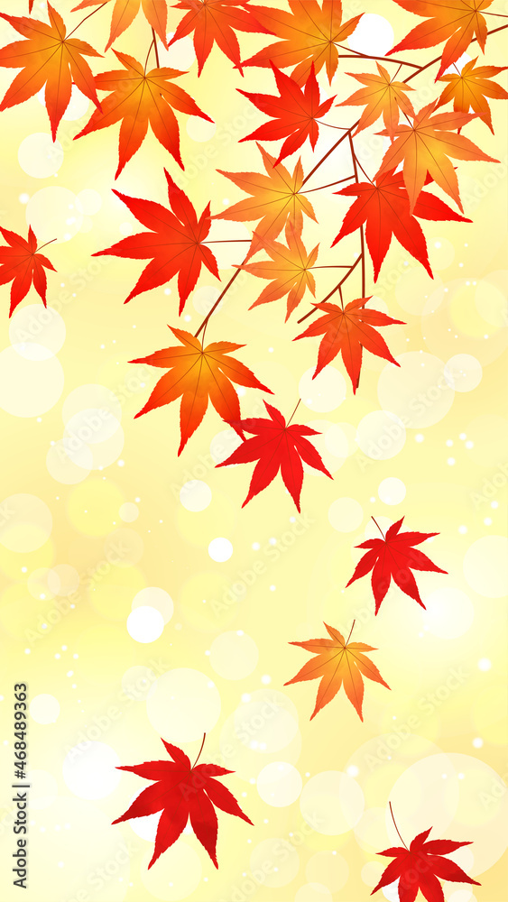 紅葉、もみじ、秋の風景、アブストラクト