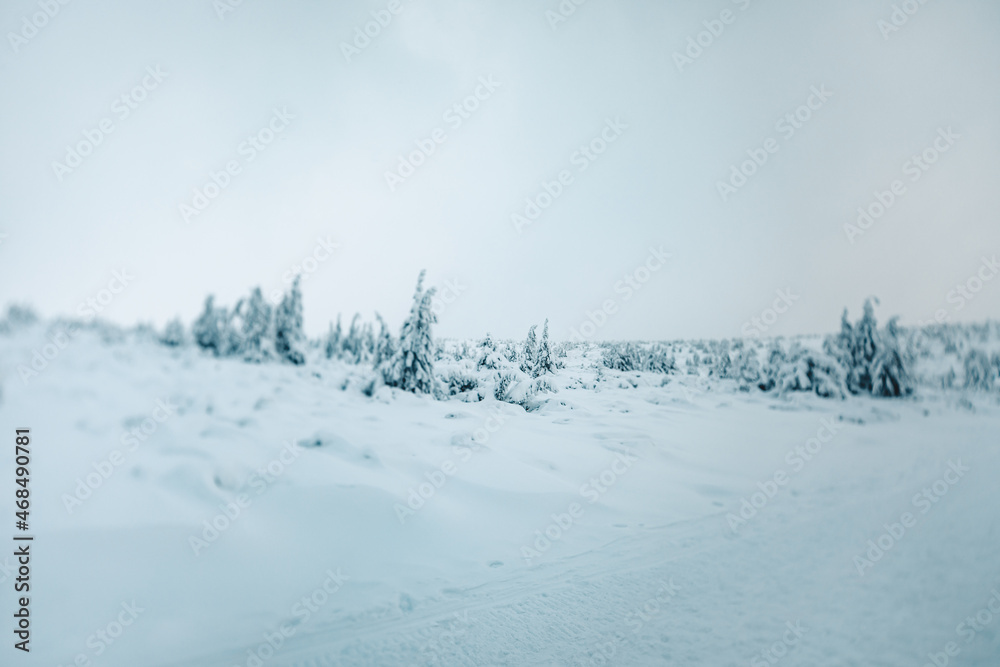 Obraz premium Winter and Frozen Scenery in Polish Giant Mountains.