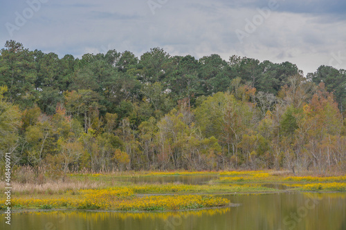 Beautiful wilderness landscape, in a remote part of Lincoln County, Mississippi