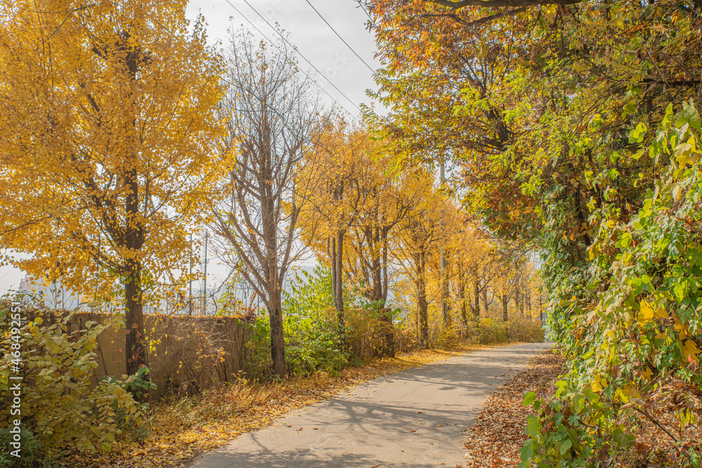 Obraz premium 가을 풍경