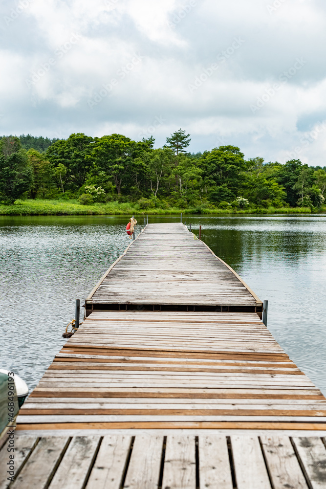Fototapeta premium wooden bridge over the lake