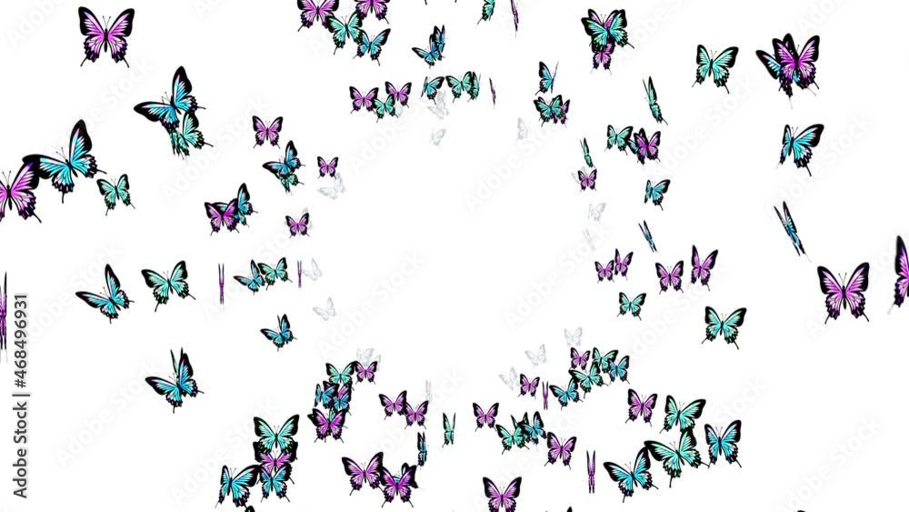 Many colorful butterflies flying in air on white background. Nature concept.  Butterfly flapping. Illustration of insects. Loop animation.