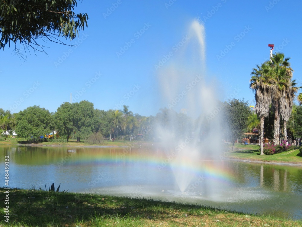 Fototapeta premium fountain with rainbow in a park