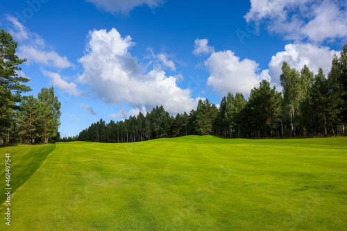 Fototapeta Naklejka Na Ścianę i Meble -   Landscape, golf course,, green grass on the background of the forest and a bright sky with clouds