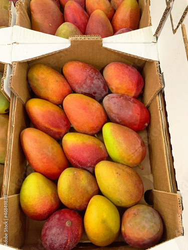 Mango photo