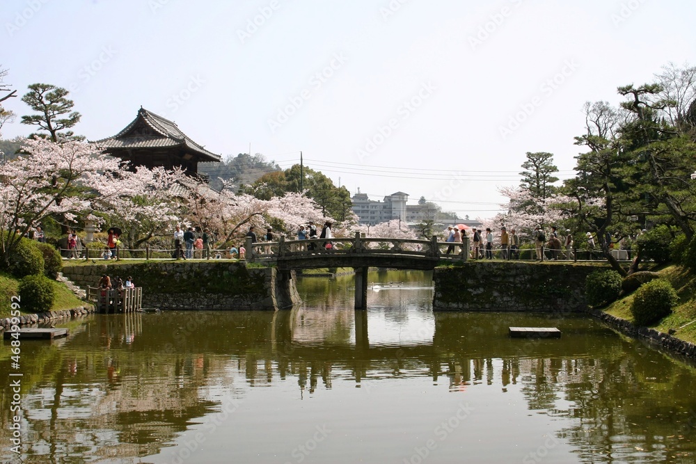 japanese garden with bridge