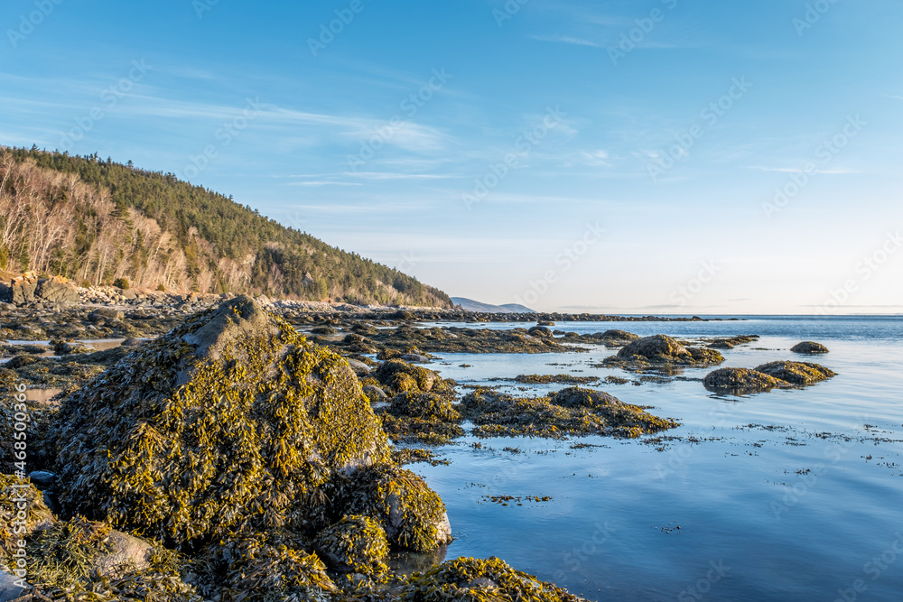 Des roches recouvertes d’algues sont visible à marée basse sur le fleuve Saint-Laurent à la hauteur de Charlevoix.