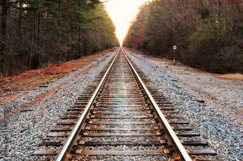  A vanishing point down tree-lined railroad tracks to a backlit sunset horizon.