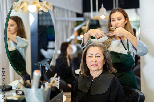 Elderly silver haired woman getting haircut by professional young female hairdresser in modern hair salon. © JackF