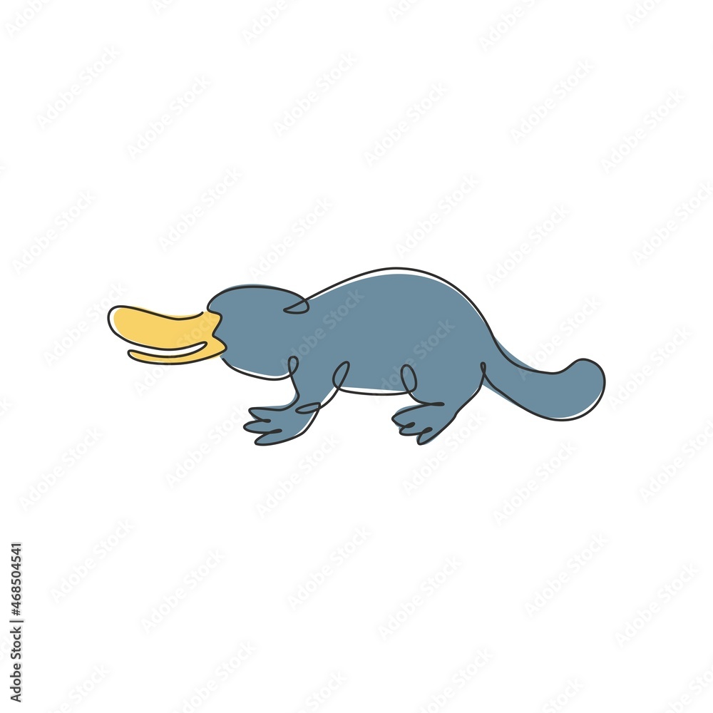 Obraz premium Single continuous line drawing of funny adorable platypus for logo identity. Tasmanian mammal animal mascot concept for national zoo icon. Modern one line draw graphic design vector illustration