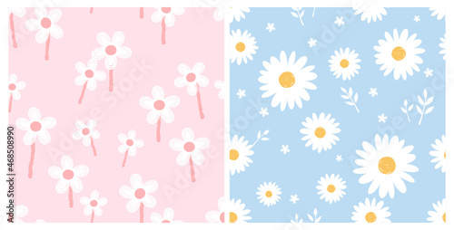 Seamless patterns with daisy flowers on pink and blue backgrounds vector.